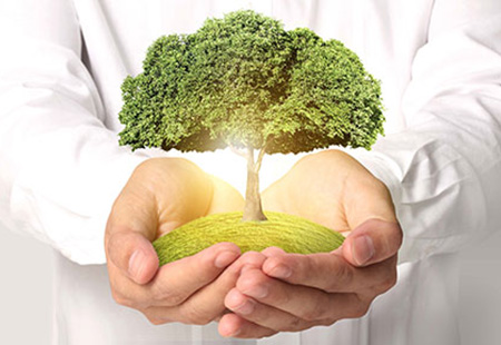 Arbol en manos